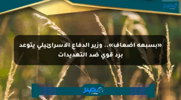 «بسبعة أضعاف».. وزير الدفاع الإسرائيلي يتوعد برد قوي ضد التهديدات